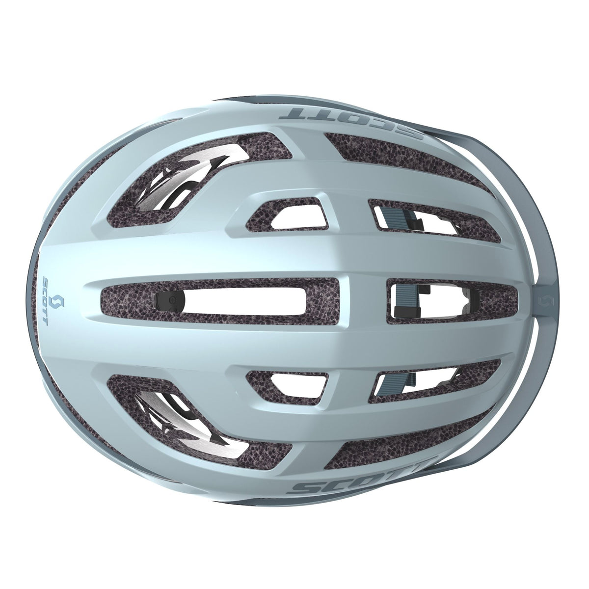 scott arx whale blue
